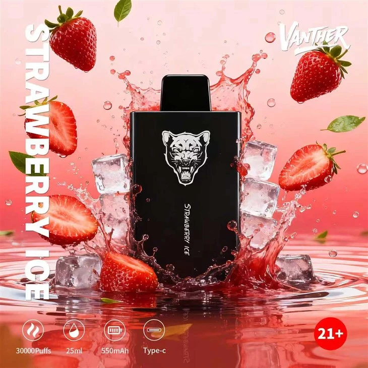 Bang King VANTHER 30000 PUFFS Disposable Vape