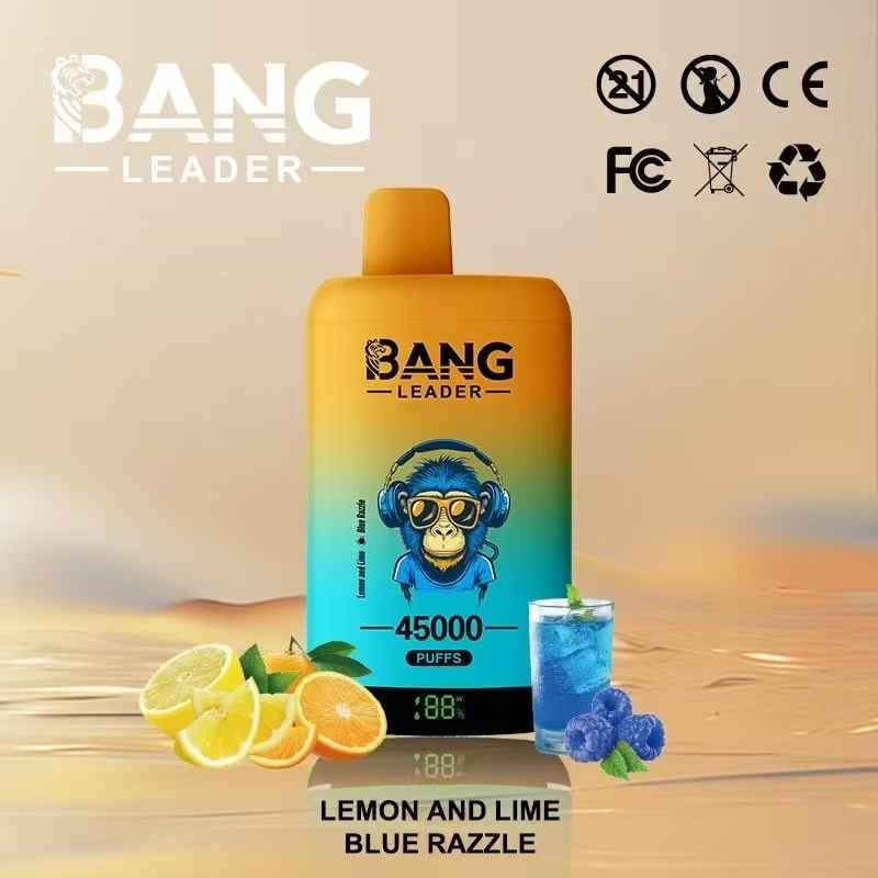 BANG LEADER 45000 Disposable Vape suppliers